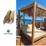 Φοινικόφυλλο Palm Thach Panel