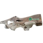 ΡΙΖΑ-ΤΡΑΠΕΖΙ SUAR WOOD CONSOLE 250X62X81CM - 1413110025