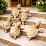 ΧΕΛΩΝΑ ΞΥΛΟΓΛΥΠΤΟ ΞΥΛΟ SUAR WOOD 50*35cm-1914010002 - Image 2