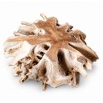ΡΙΖΑ-ΤΡΑΠΕΖΙ  TEAK WOOD Coffee Table SPIDER 100*100*45CM-1413110037